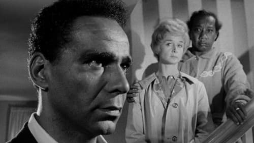 Ruf nicht zu laut Bild 5