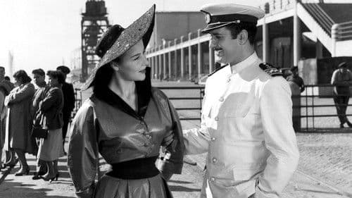 Rosa de Alfama Bild 1