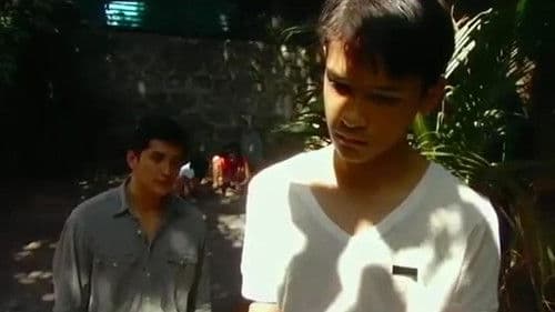 Maximo Oliveros blüht auf Bild 2