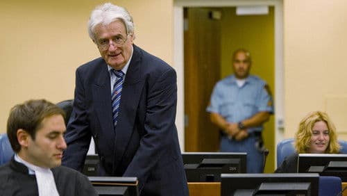 Der serbische Anwalt - Verteidige das Unfassbare! Bild 1