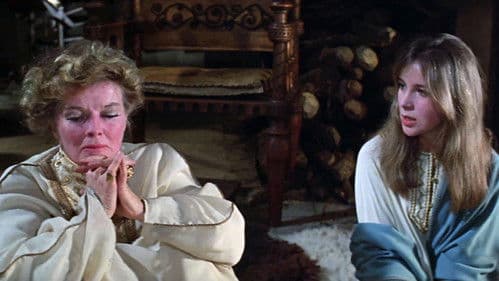 Der Löwe im Winter Bild 3