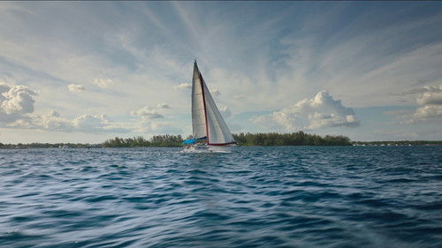 Dangerous Waters Bild 7