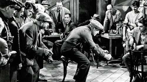 Wiesenstraße Nr. 10 Bild 3