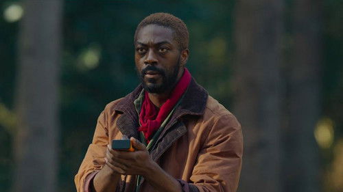 Daylight Rules Bild 2