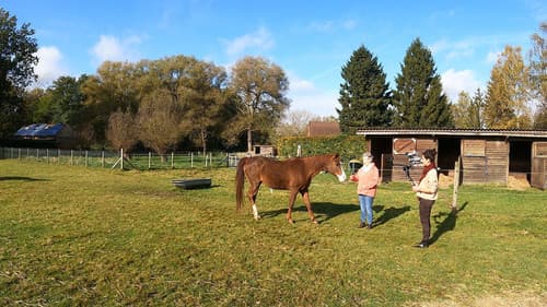 We Are Family Bild 1