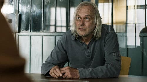 Der Zürich-Krimi: Borchert und der eisige Tod Bild 2