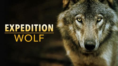 BBC Earth - Expedition Wolf Bild 1