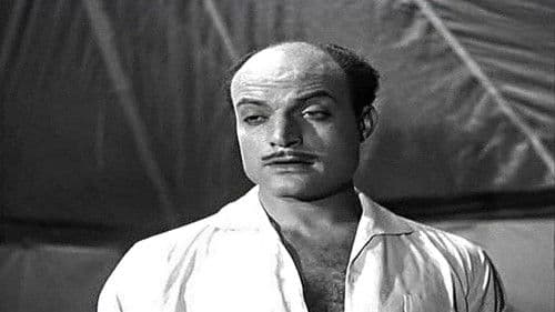 ابن حميدو Bild 7