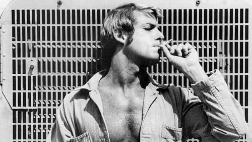 Kansas City Trucking Co. Bild 1