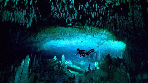 Im Bann der Bahamas Bild 1