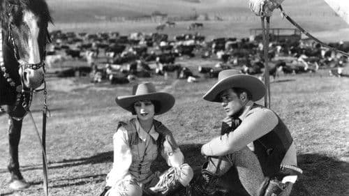 The Last Outlaw Bild 2