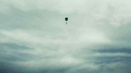 Jimi Could Have Fallen from the Sky Bild 4