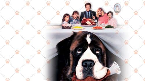 Ein Hund namens Beethoven Bild 3