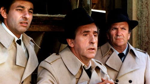 Drei Schlappschwänze auf großer Tour Bild 2