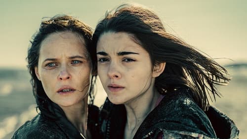 Czarne Stokrotki Bild 2