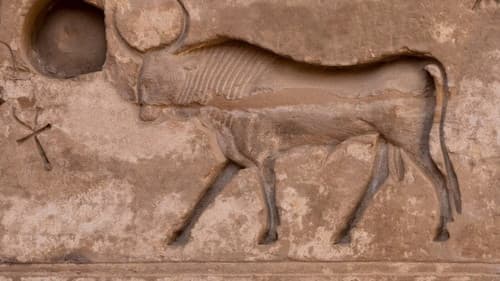 Les animaux sacrés de l'Egypte ancienne Bild 1