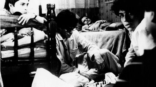 Rojo amanecer Bild 2