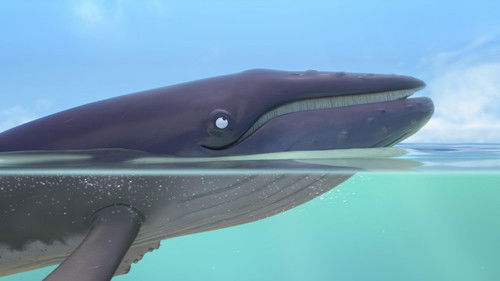 Die Schnecke und der Buckelwal Bild 8