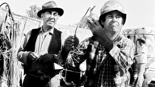 Ένας Ξένοιαστος Παλαβιάρης Bild 2