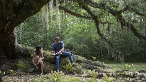 Der Gesang der Flusskrebse Bild 5