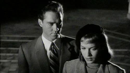 Venetian Bird Bild 2