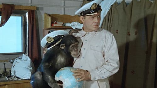 Rette sich wer kann! Bild 8