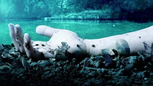 Mean Creek Bild 5