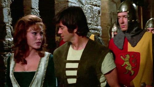 Das normannische Schwert Bild 2