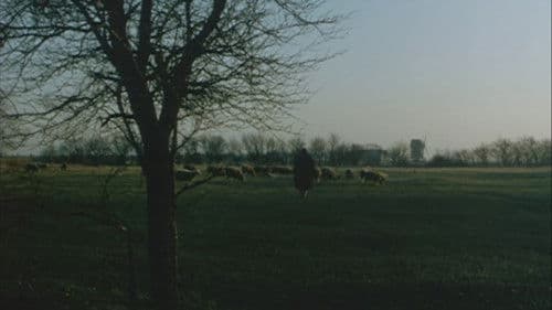 Deutschland Neu(n) Null Bild 3