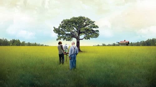 Die Farben des Herbstes Bild 2