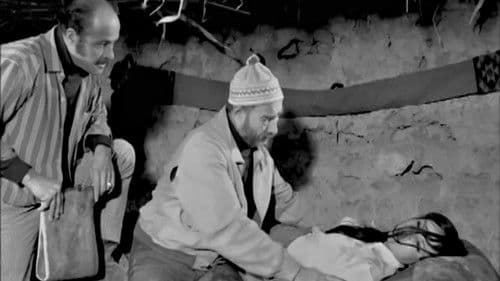 الأشرار Bild 7