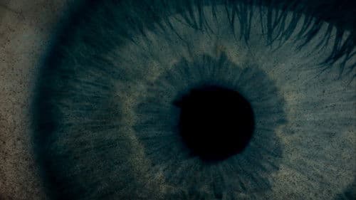 Das Böse in mir Bild 1