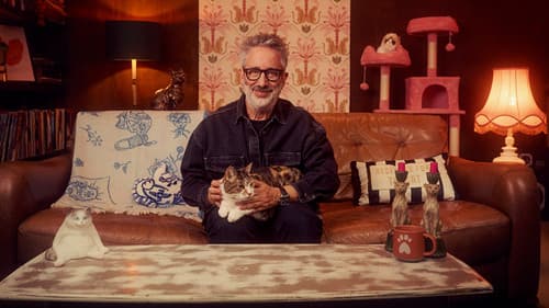 David Baddiel: Cat Man Bild 1