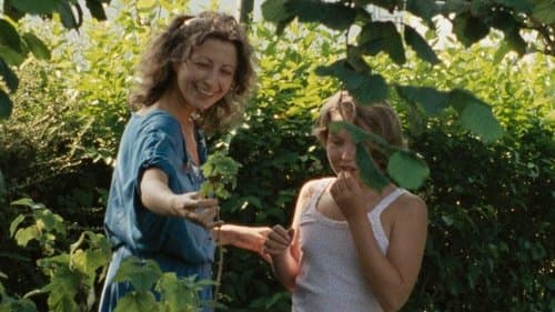 Das grüne Leuchten Bild 1