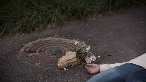 The Man Who Loved Flowers Bild 3