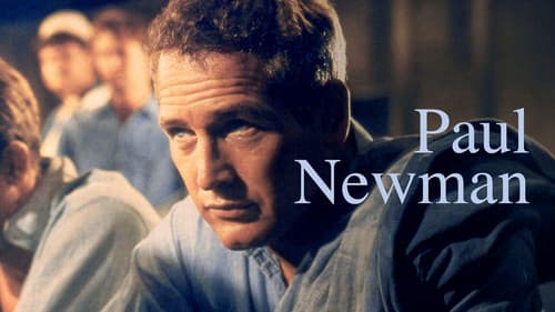 Paul Newman - Der unwiderstehliche Typ Bild 2