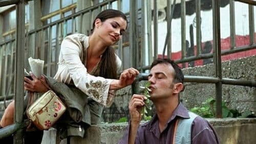 Kad porastem biću kengur Bild 2