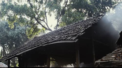 মৃত্তিকা Bild 1