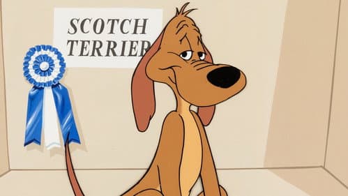Die Hundegeschichte Bild 1