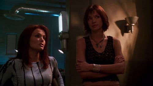 Birds of Prey Bild 8