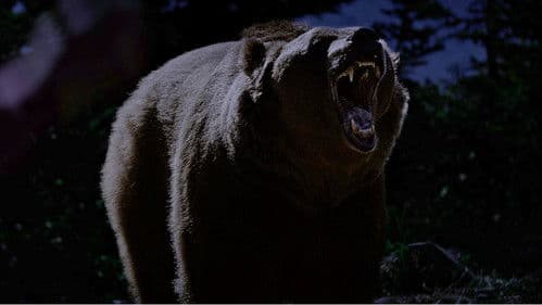 No Escape - Grizzly Night Bild 6