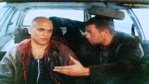 Normalni ljudi Bild 2