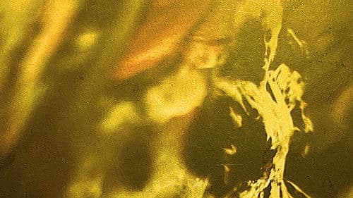 Karin Bloemen: Karin in Concert Bild 1