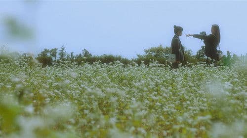 The Dream Songs Bild 3