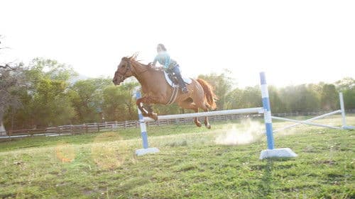 Storm Rider - Schnell wie der Wind Bild 2