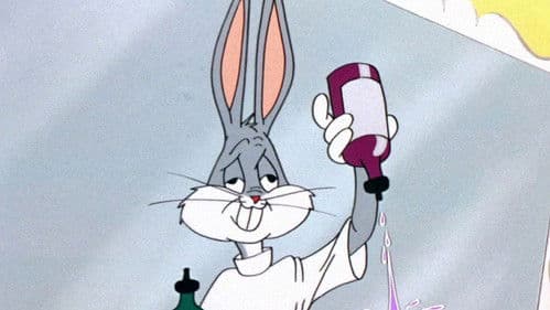 Der Hase von Sevilla Bild 5