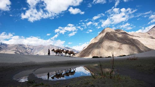 Über den Wolken - Leben in den Bergen Bild 4