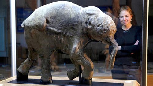 Woolly Mammoth: Secrets from the Ice Bild 1