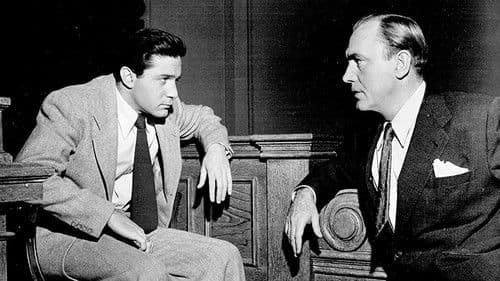 Criminal Lawyer Bild 1