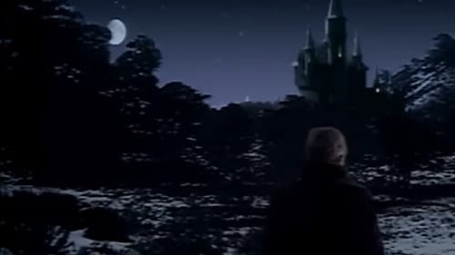 Der König von Narnia Bild 6